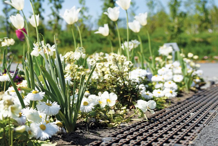 ACO Gardening Landscaping Drainage Solutions