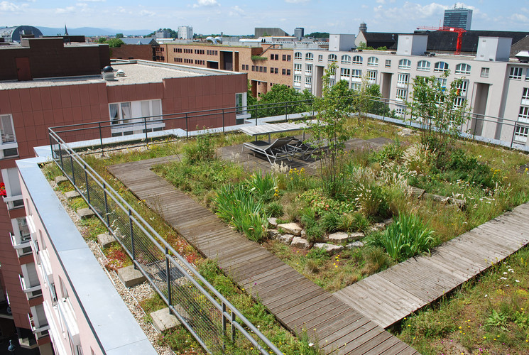 ACO Roof Drain Green Roof Solutions
